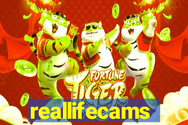 reallifecams