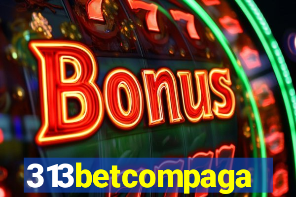 313betcompaga