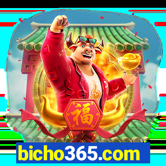 bicho365.com