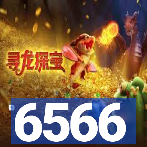 6566