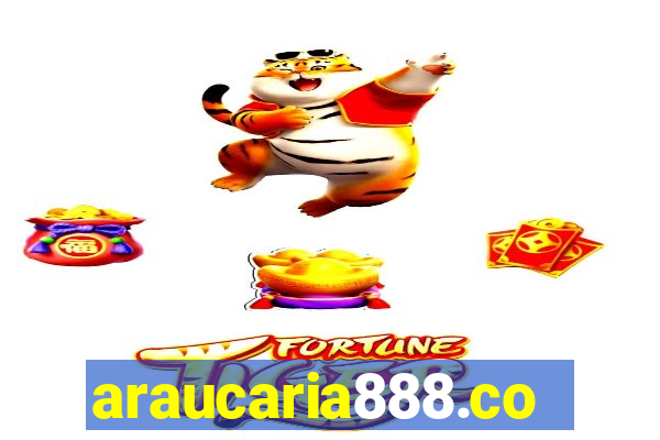 araucaria888.com