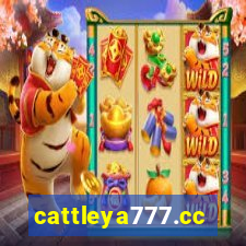 cattleya777.cc